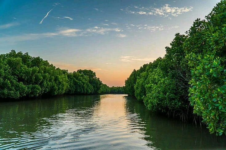 madu-river