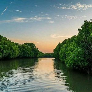 madu-river